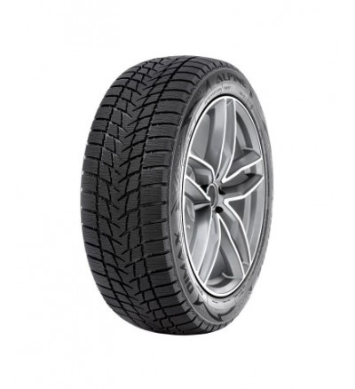 Anvelopa IARNA RADAR DIMAX ALPINE 205/55R17 95 V XL [1]
