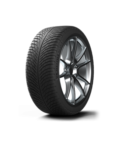 MICHELIN PILOT ALPIN 5 255/40R19 100 V XL