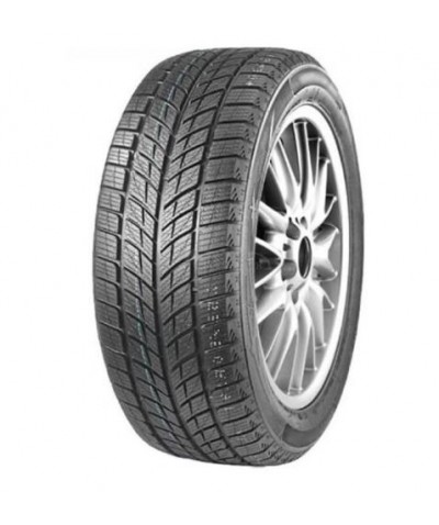 DOUBLESTAR Winterking DW09 235/55R20 102H