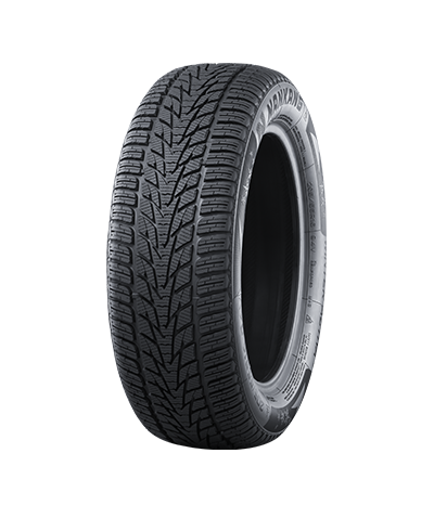 NANKANG SV-4 195/55R20 95H