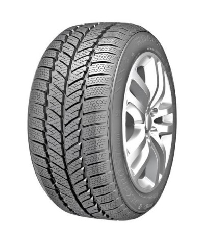 ROADX RxFrost WH01 205/45R16 87H XL