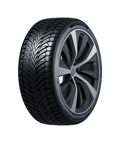 AUSTONE FIXCLIME SP401 205/50R17 93 W XL