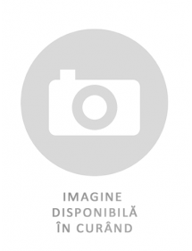 Anvelopa ALL SEASON DUNLOP ECONODRINE ALL SEASON 225/55R17C 104/102 H 