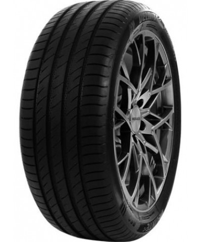 DELINTE DS2 245/50R18 100W