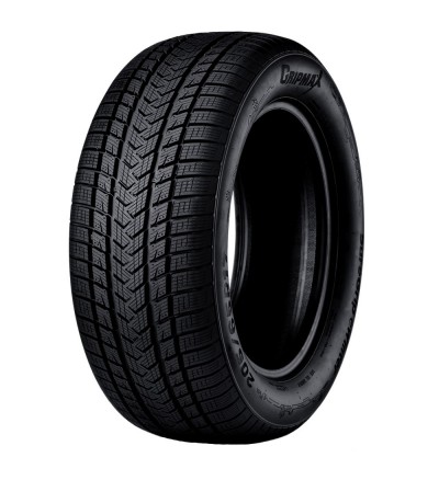 Anvelopa IARNA GRIPMAX Suregrip ewinter 245/45R17 99V XL [1]