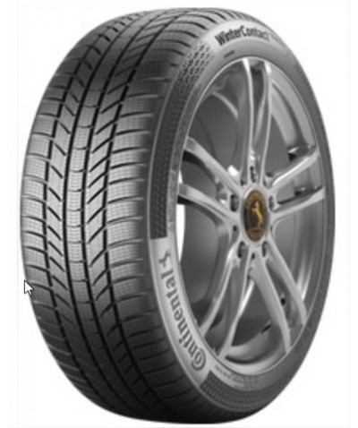 Continental Wintercontact Ts 870 P 215/60 R17 100V XL FR