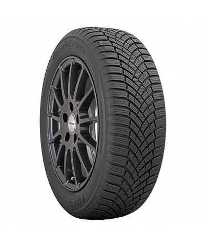 Toyo 255/55R18 V Observe EWS1 109 V